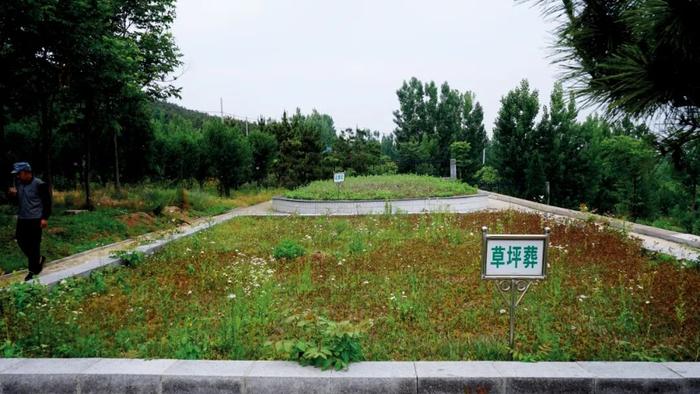 沂水县的公益性公墓设有树葬、花葬、草坪葬等多种形式的生态葬。本文摄影/本刊记者 佟西中